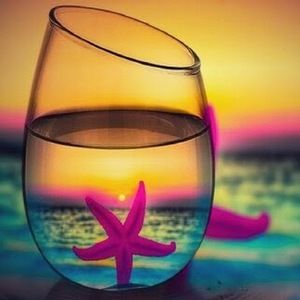 Meet your Posher, Desiree